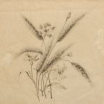 1118 7125 Blyerts